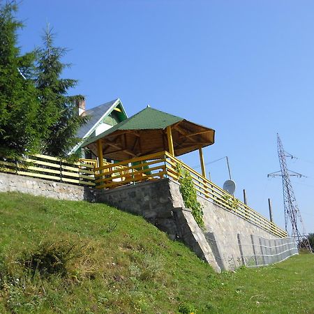 Pensiunea Luminita Ciungetu Exterior foto