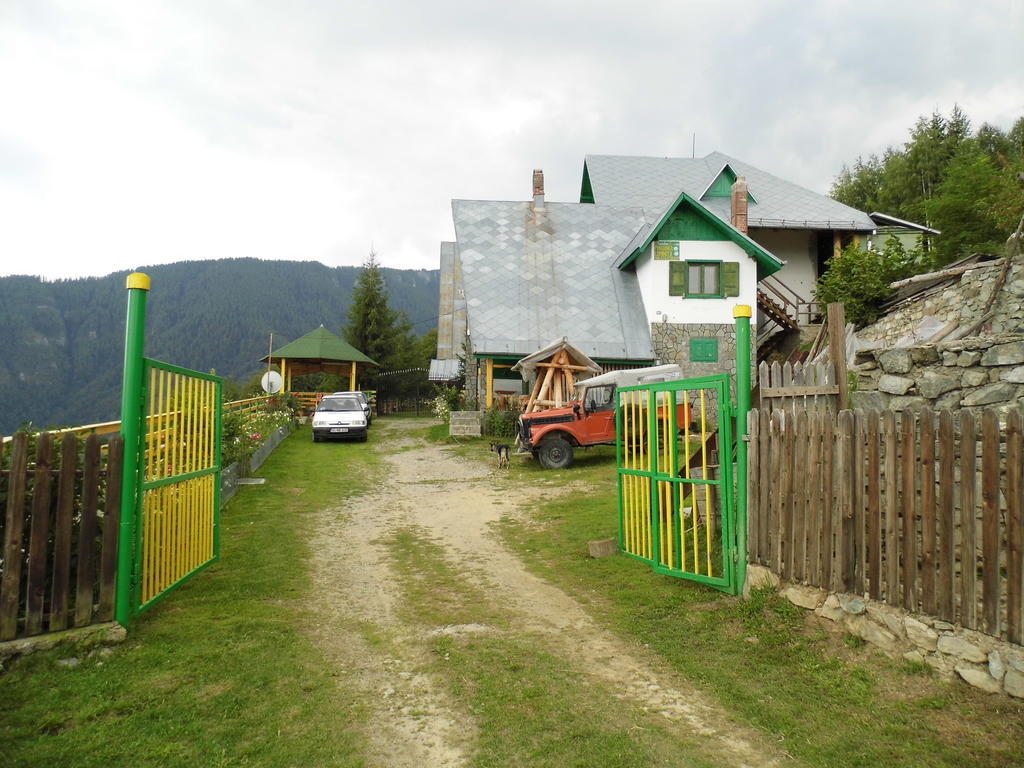 Pensiunea Luminita Ciungetu Exterior foto