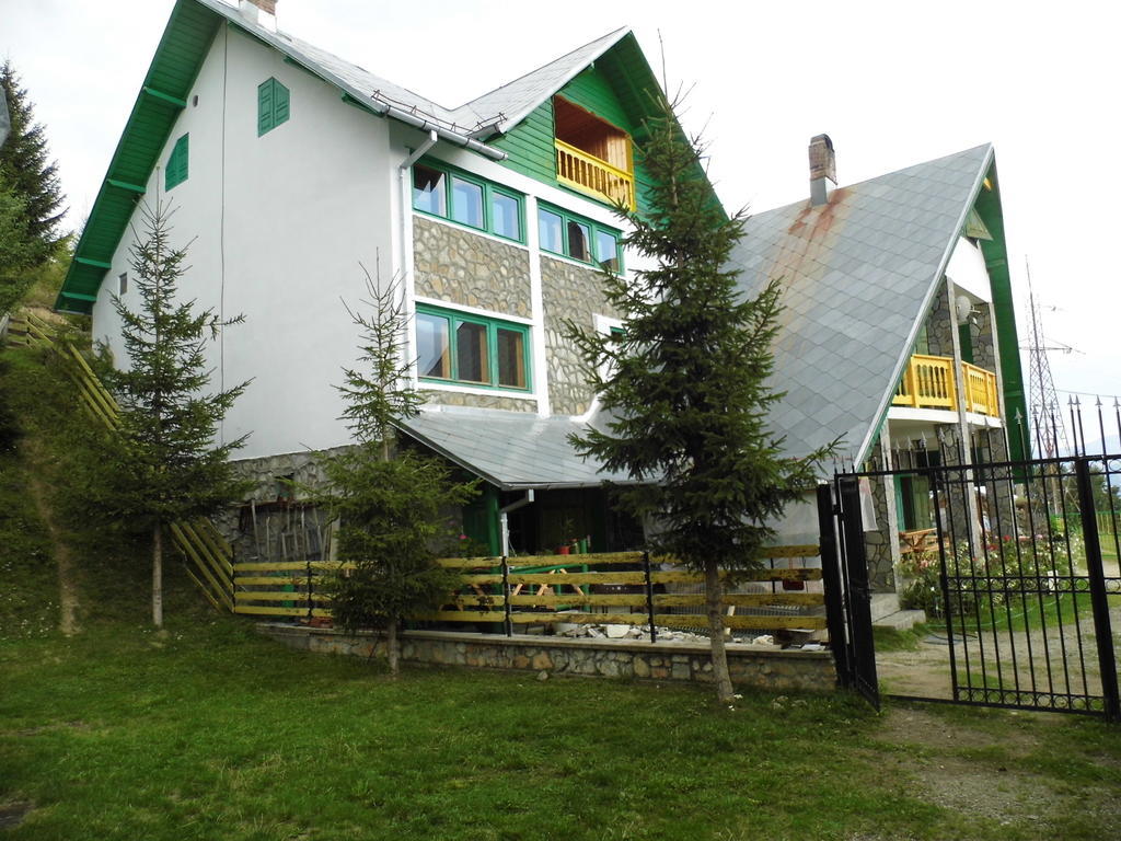Pensiunea Luminita Ciungetu Exterior foto